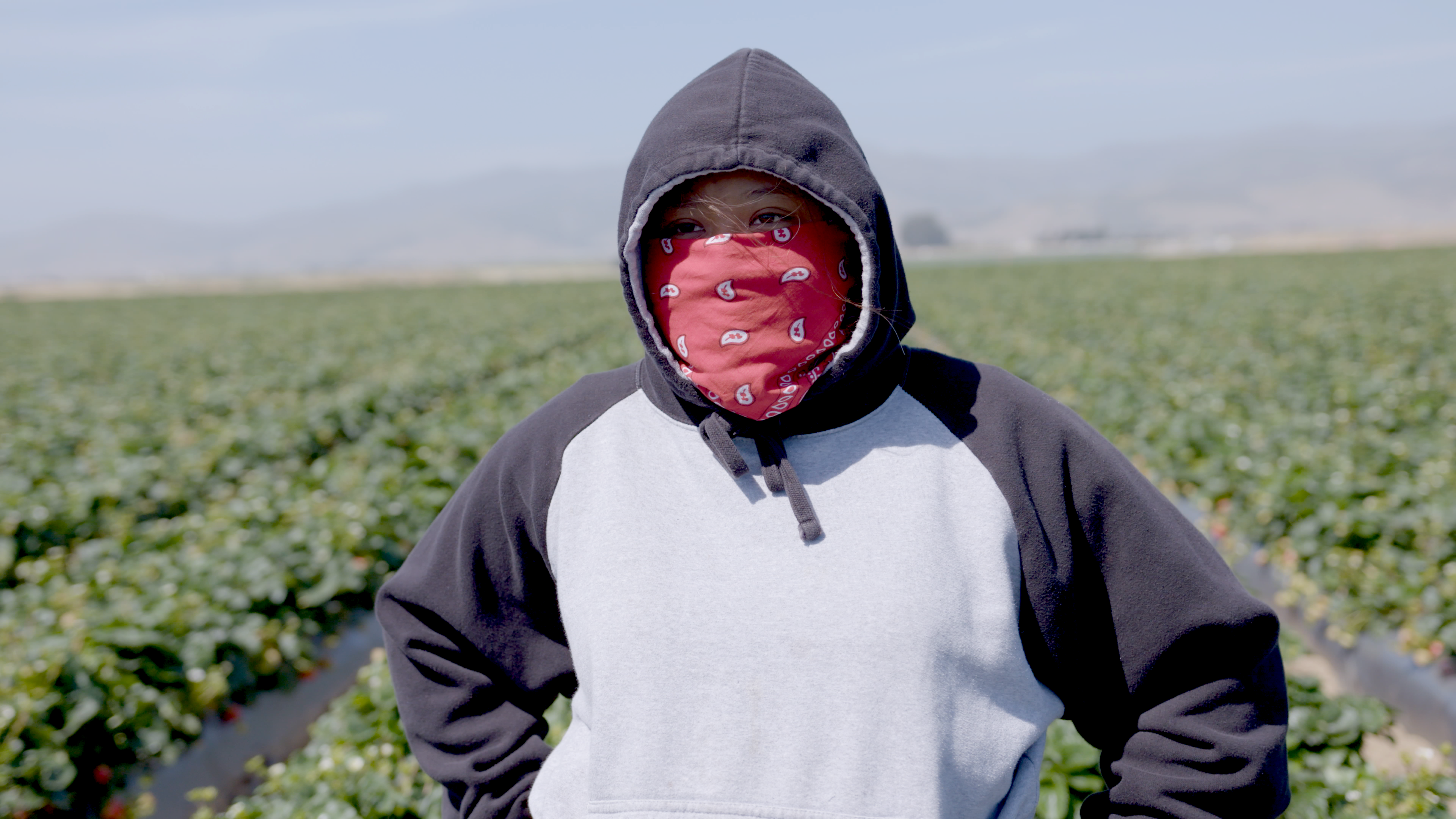 Healing Through Collaborative Filmmaking: An Interview with the Director of Fruits of Labor